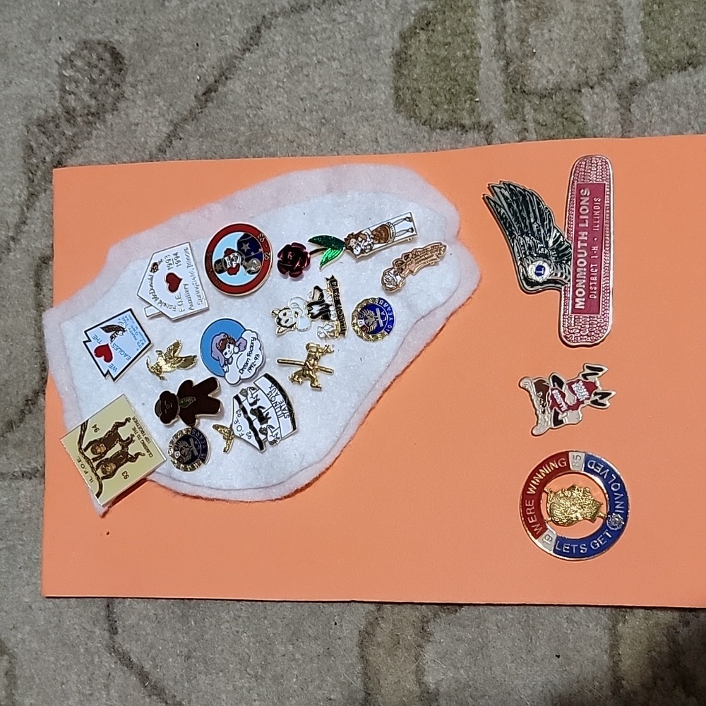 Illinois  IL collector pins pendants 18 pieces